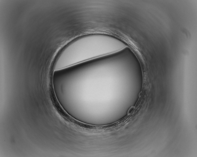 X0000111480012200907141052