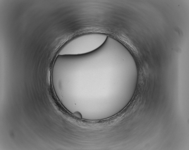 X0000111480014200907141052