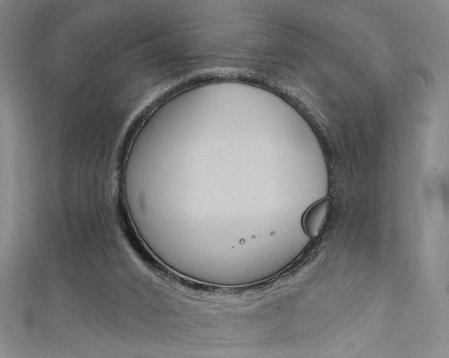 X0000111480016200907141052
