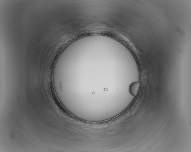 X0000111480018200907141052
