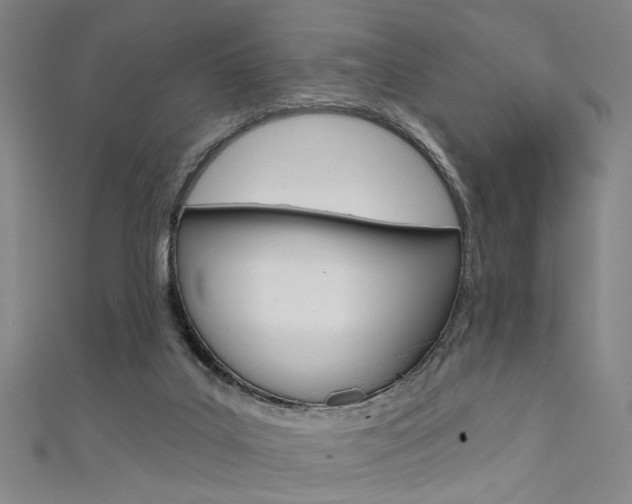 X0000111480019200907141052