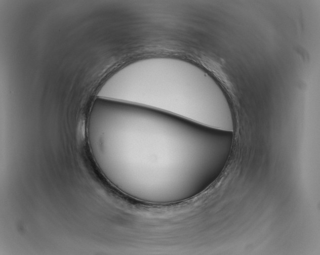 X0000111480021200907141052