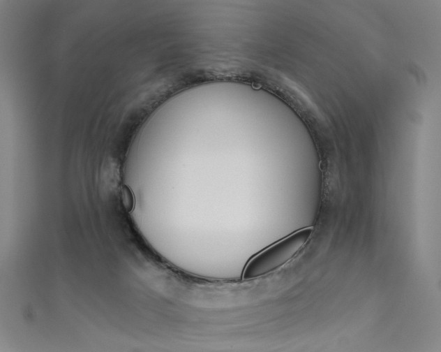 X0000111480025200907141052