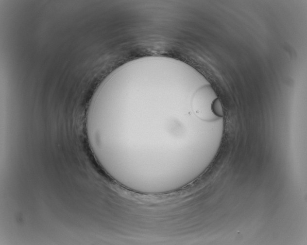 X0000111480030200907141052