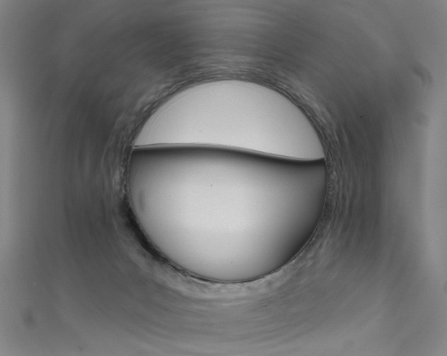 X0000111480031200907141052