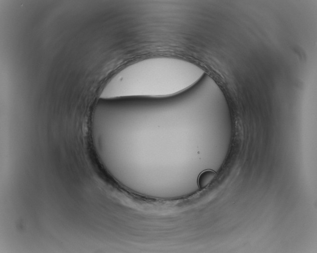 X0000111480032200907141052