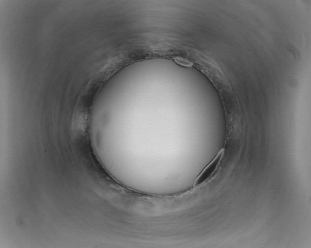 X0000111480033200907141052