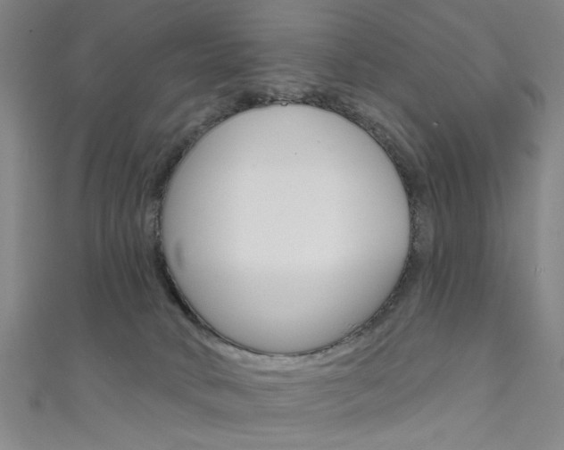 X0000111480034200907141052