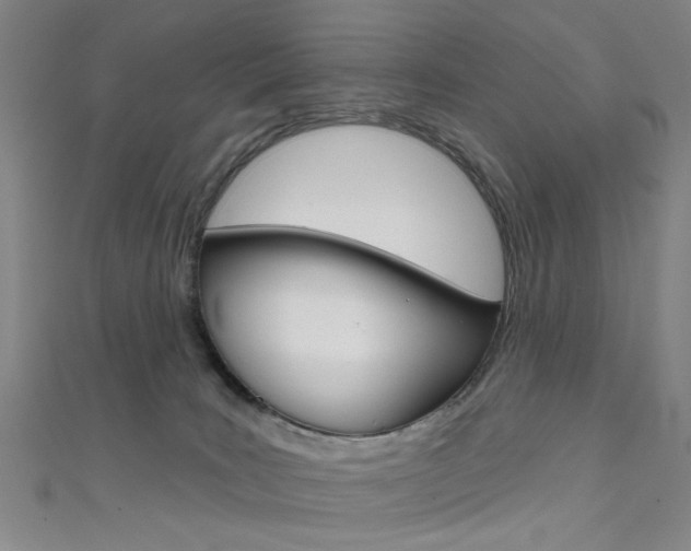 X0000111480035200907141052