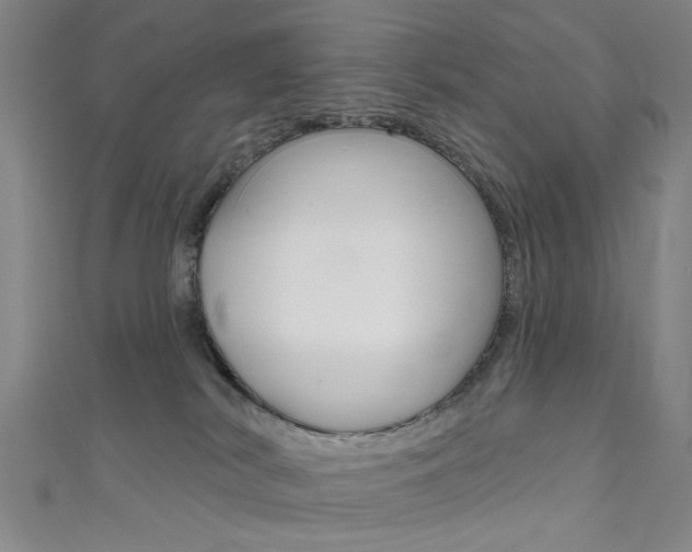 X0000111480038200907141052