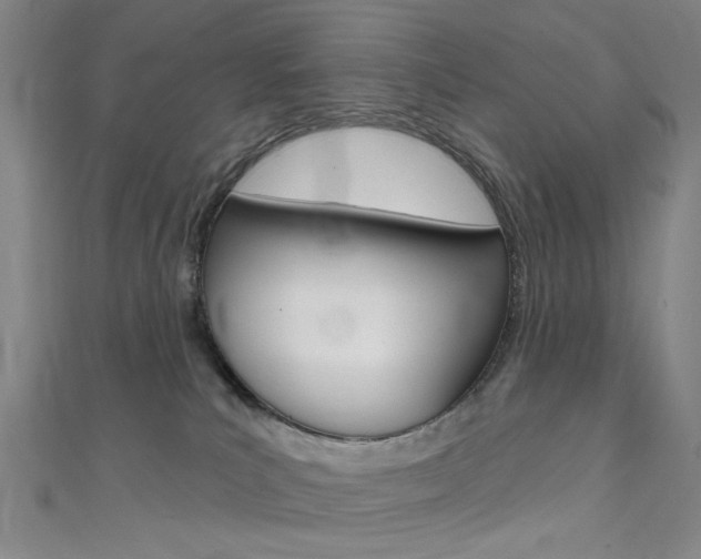X0000111480039200907141052