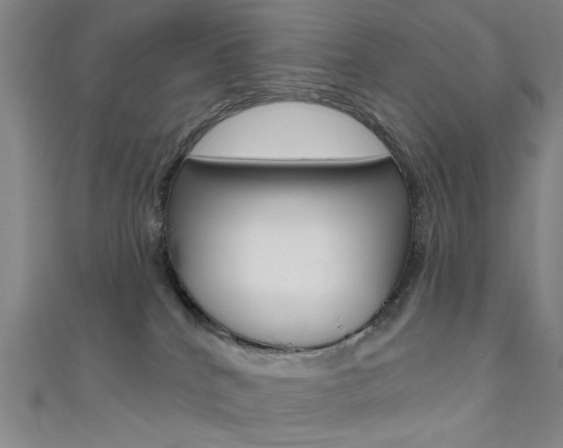 X0000111480040200907141052