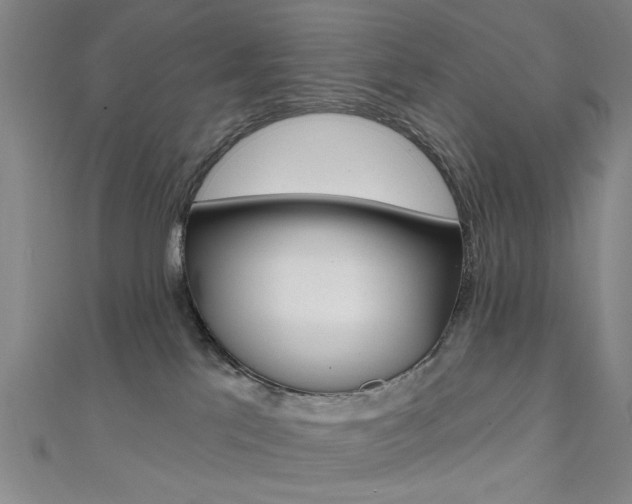 X0000111480041200907141052