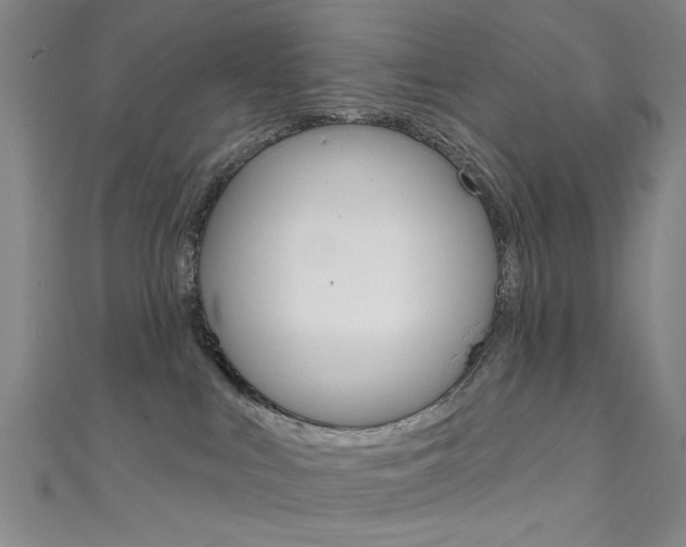 X0000111480043200907141052