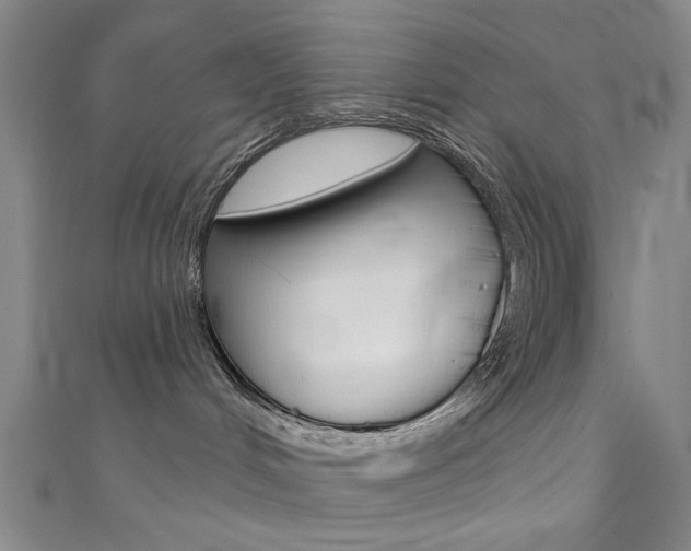 X0000111480048200907141052