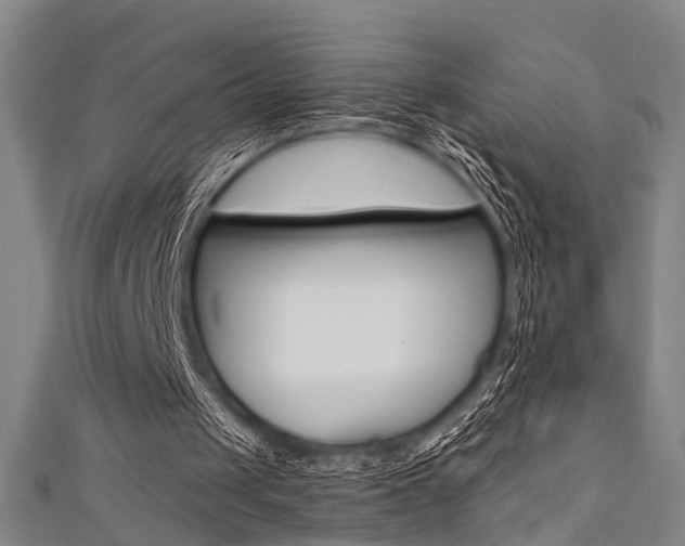 X0000111480049200907141051