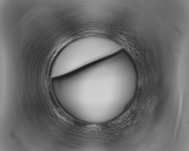 X0000111480050200907141051