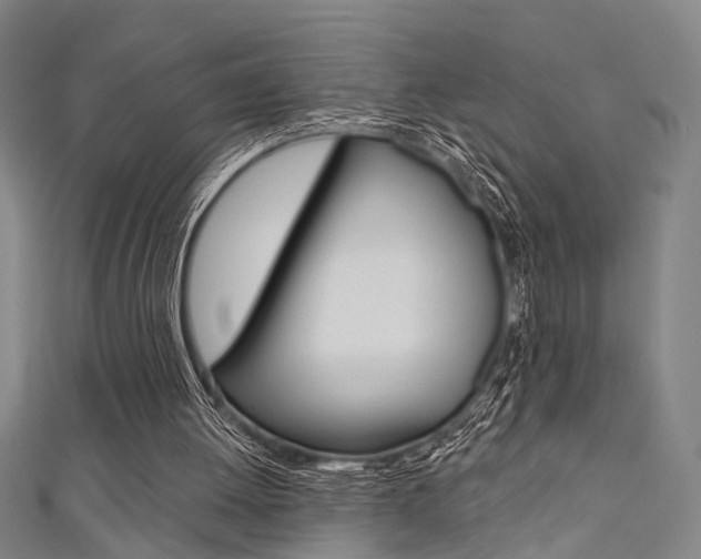 X0000111480052200907141051
