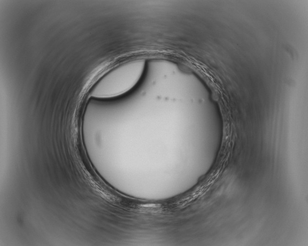 X0000111480053200907141051