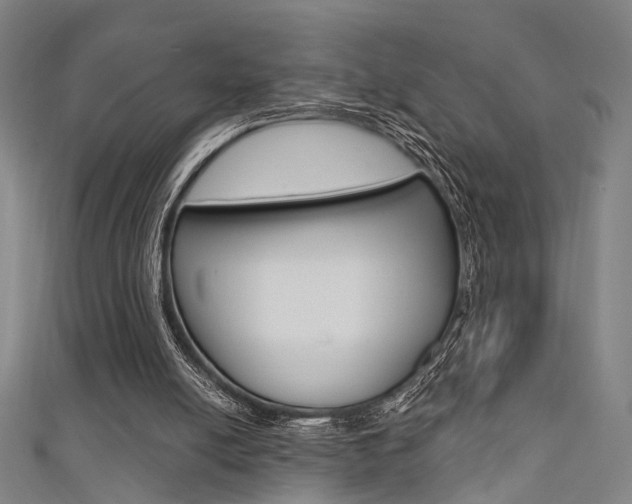 X0000111480054200907141051