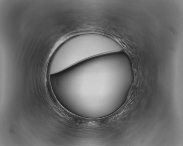 X0000111480056200907141051
