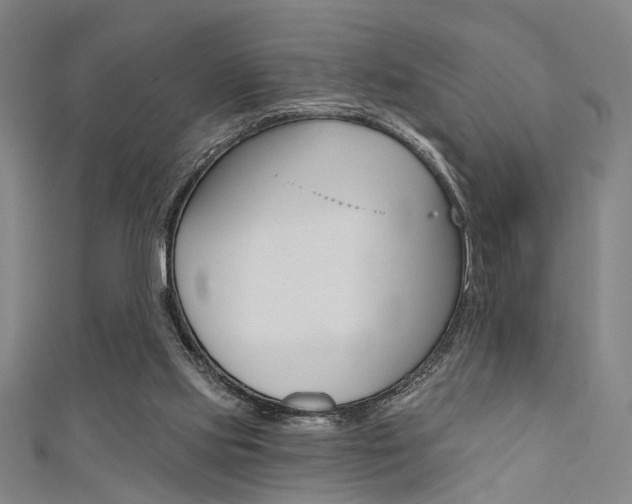 X0000111480061200907141051