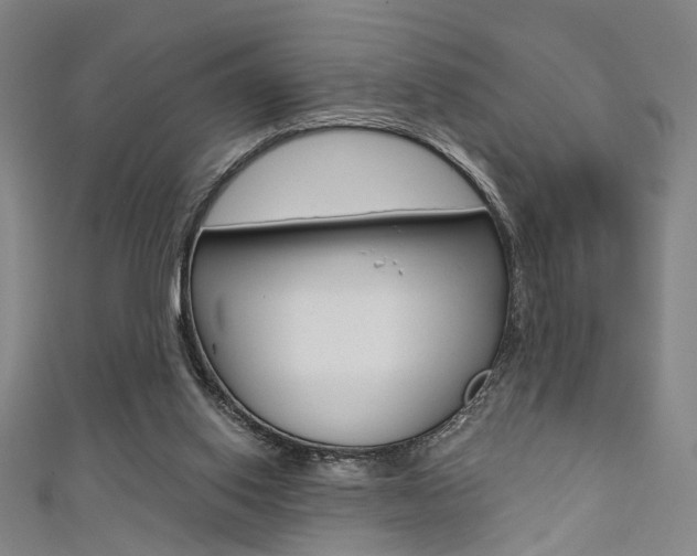 X0000111480062200907141051