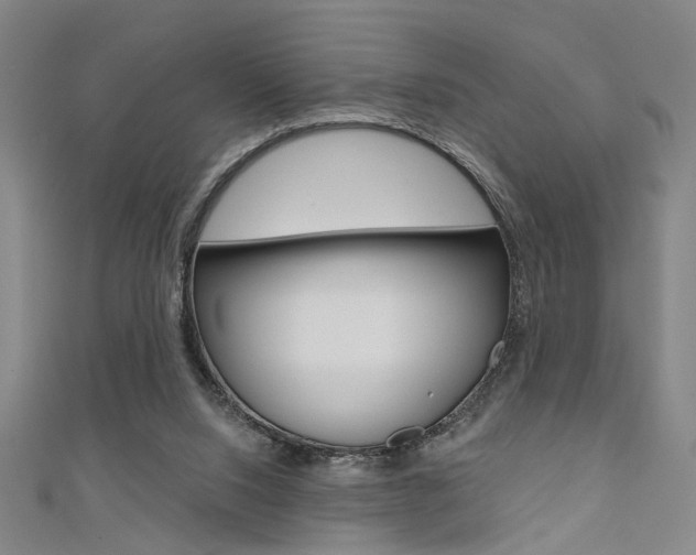 X0000111480064200907141051