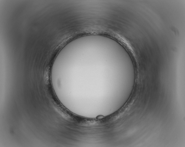 X0000111480065200907141051