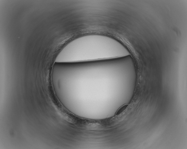 X0000111480066200907141051