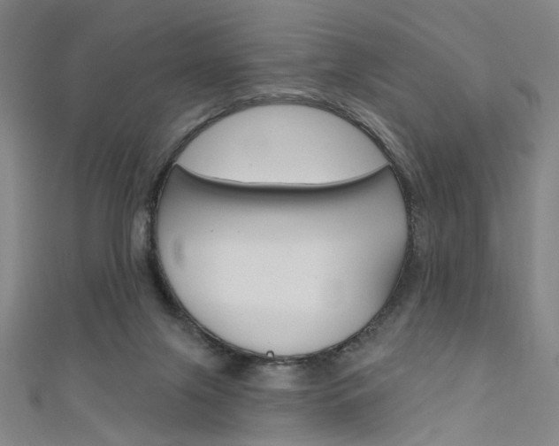 X0000111480071200907141051