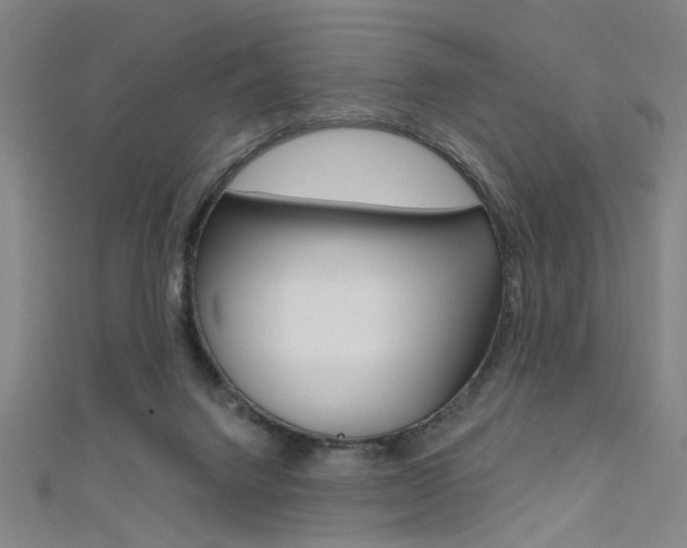 X0000111480072200907141051