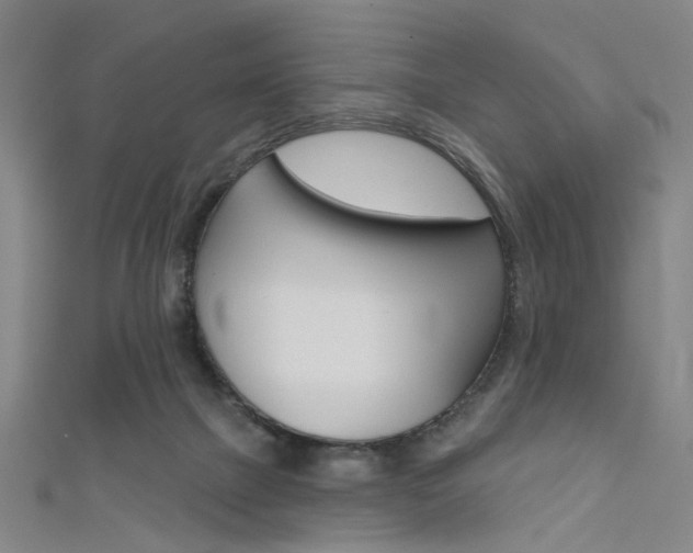 X0000111480073200907141051