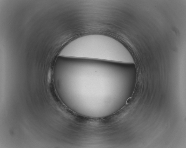 X0000111480076200907141051