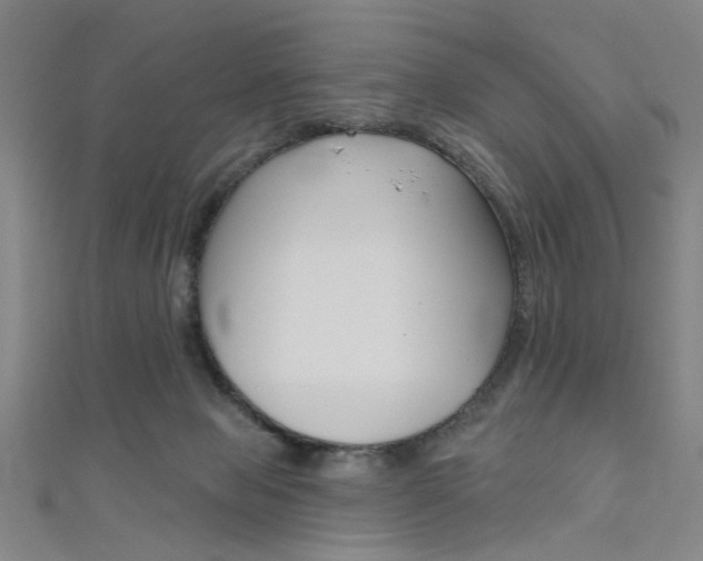 X0000111480077200907141051