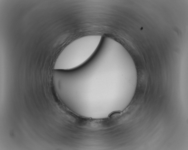 X0000111480078200907141052