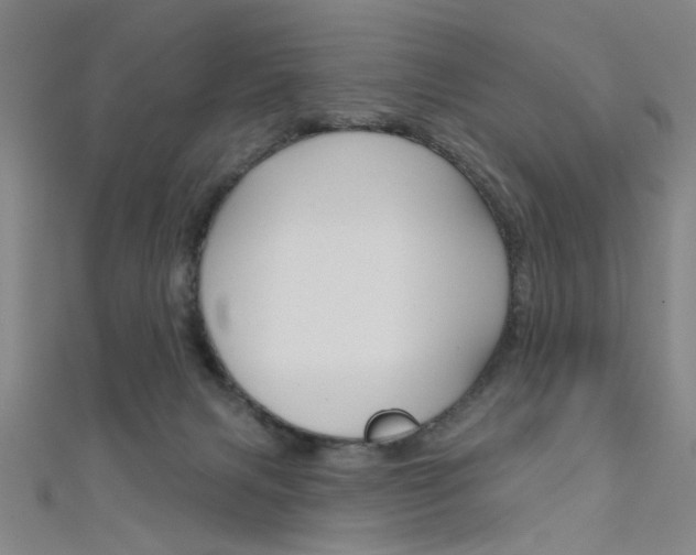 X0000111480079200907141052