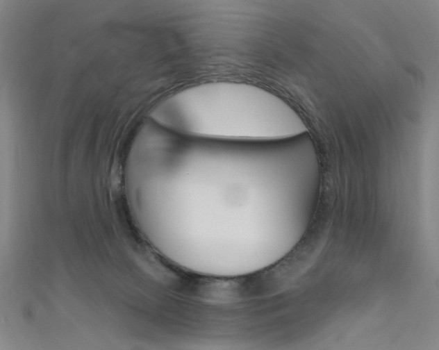 X0000111480081200907141052