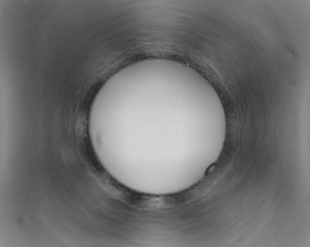 X0000111480083200907141052