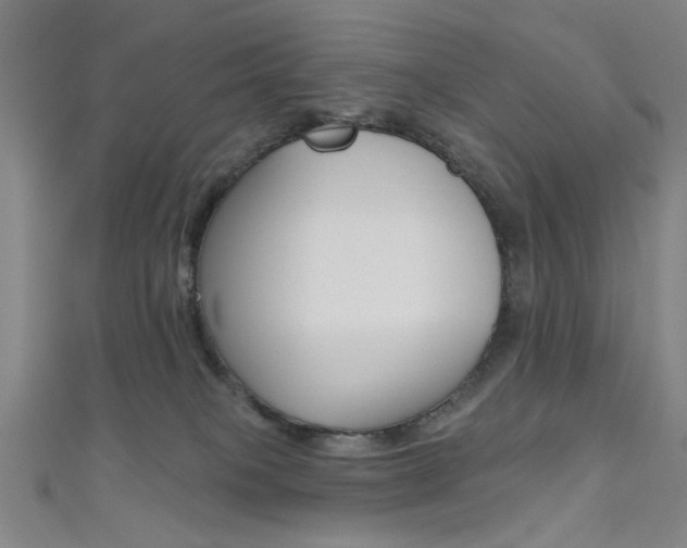 X0000111480085200907141052