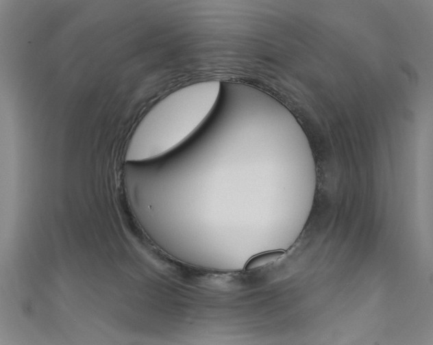 X0000111480086200907141052