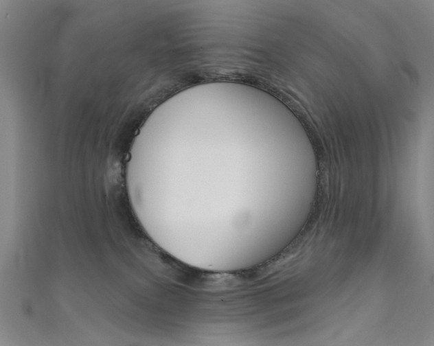 X0000111480087200907141052