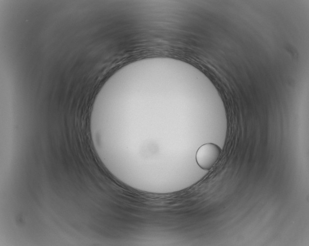 X0000111480088200907141052
