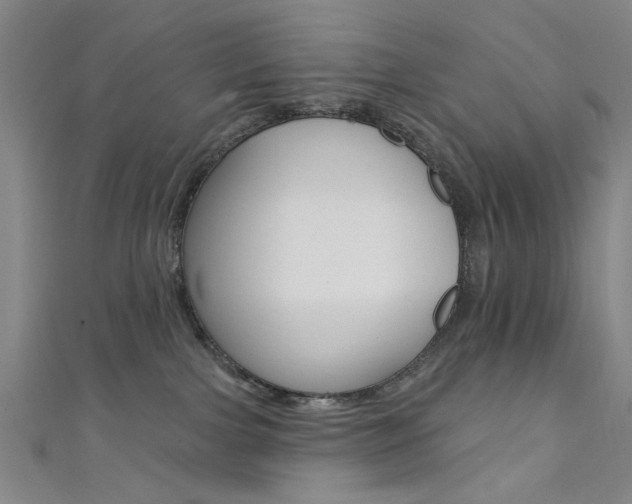 X0000111480091200907141052