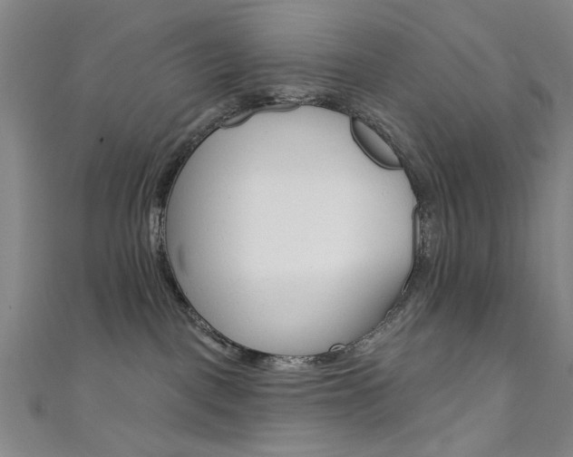 X0000111480093200907141052