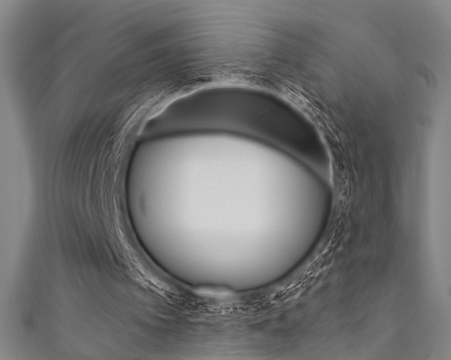 X0000111480097200907141051