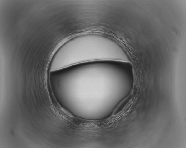 X0000111480100200907141051