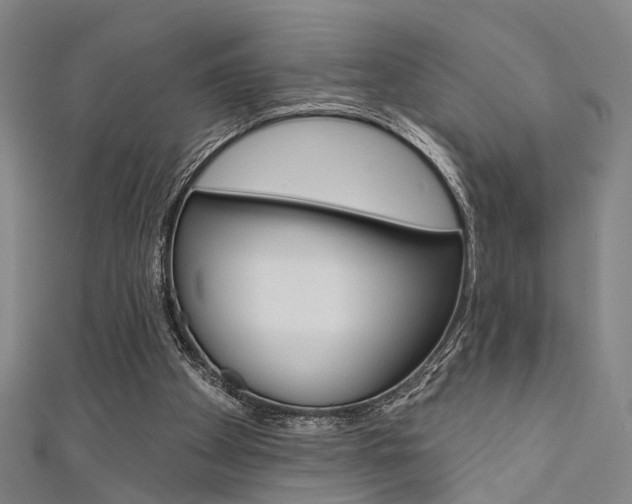X0000111480105200907141051