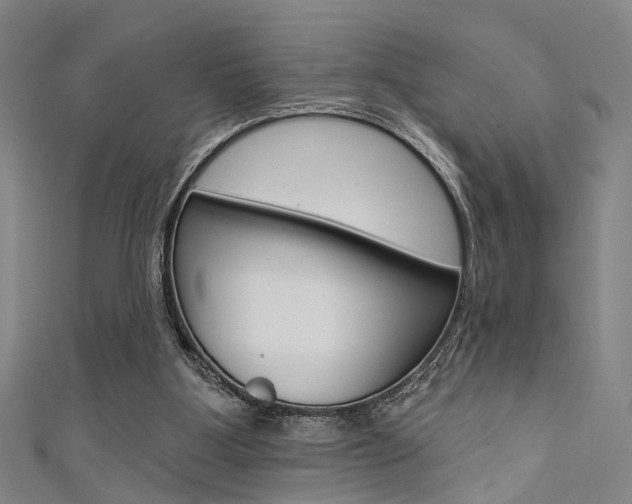 X0000111480107200907141051