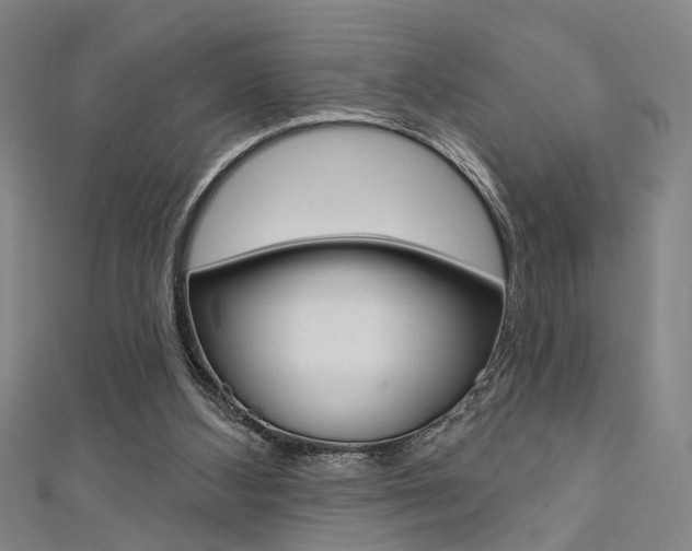 X0000111480108200907141051